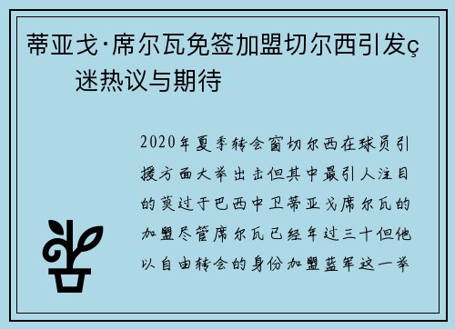 蒂亚戈·席尔瓦免签加盟切尔西引发球迷热议与期待