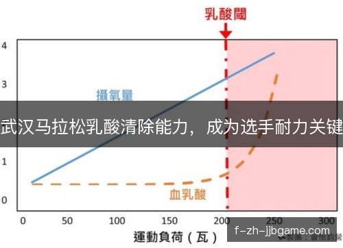 武汉马拉松乳酸清除能力，成为选手耐力关键